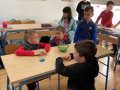 image_67196161