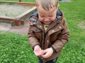 IMG-19ba2edd6f341cbb3269ef162c4c8a1e-V