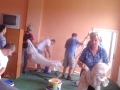 dugo_selo_radovi (4)