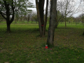 IMG-7ac2bbe8ece0ed73899a838aece8bbfa-V