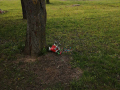 IMG-bec08840a06ed06d1762ff7d345ca1b8-V