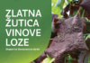 Zlatna žutica vinove loze – obavijest